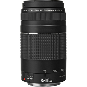 Canon EF 75-300mm f/4-5.6 III - Likenew 95%