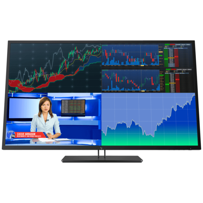 HP Z43 42.5-inch 4K UHD Display (Chính hãng)