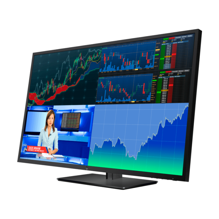 HP Z43 42.5-inch 4K UHD Display (Chính hãng)