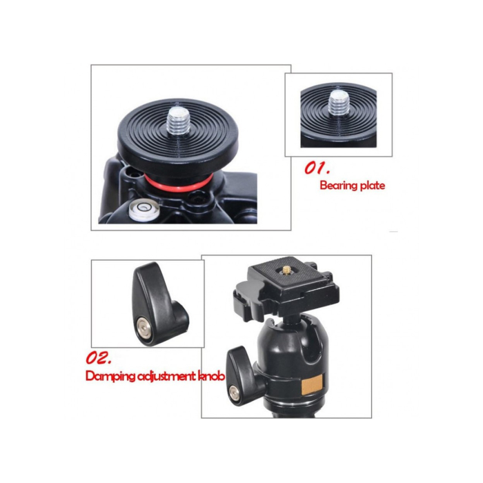 Chân máy ảnh chuyên nghiệp Beike BK-QZ304 - Chính hãng